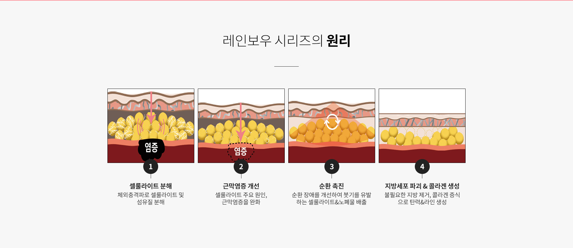 강남더슬림의원의 레인보우 시리즈의 원리