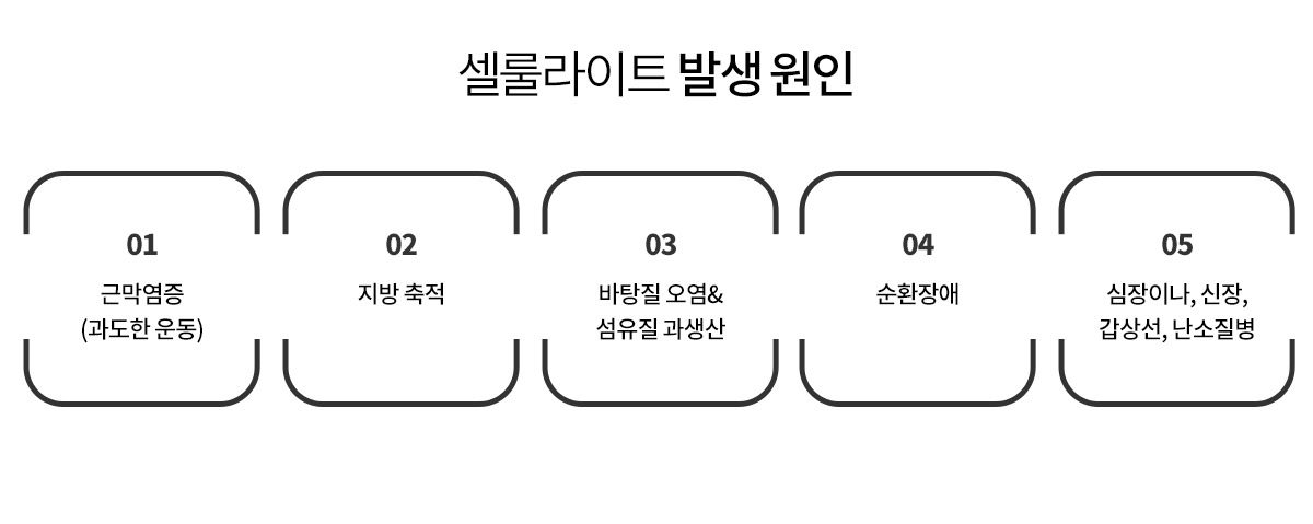 강남더슬림의원에서 말하는, 셀룰라이트 발생 원인